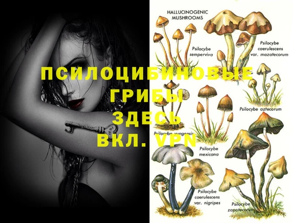 индика Алексеевка