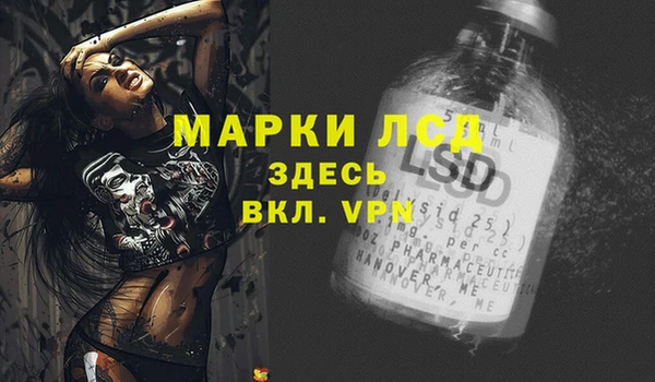 apvp Алзамай