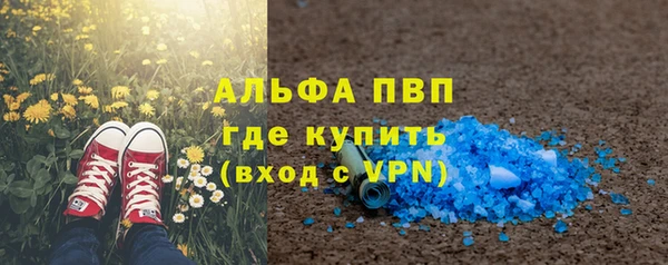 apvp Алзамай