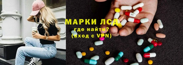 индика Алексеевка