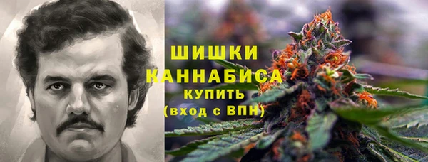 apvp Алзамай
