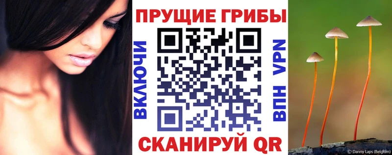 мега как зайти  Чайковский  Галлюциногенные грибы мицелий 